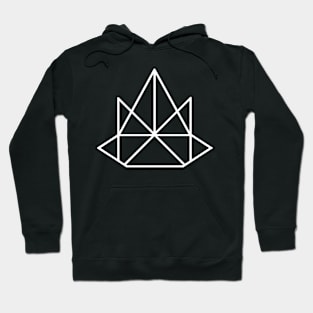 illbhavior logo Hoodie